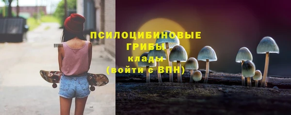 ПСИЛОЦИБИНОВЫЕ ГРИБЫ Белокуриха