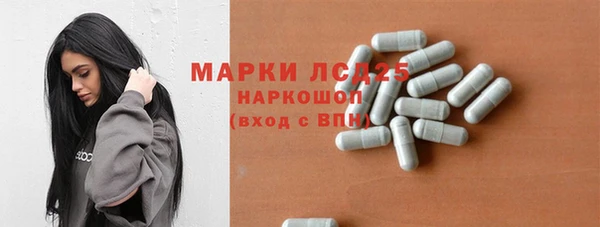 ПСИЛОЦИБИНОВЫЕ ГРИБЫ Белокуриха