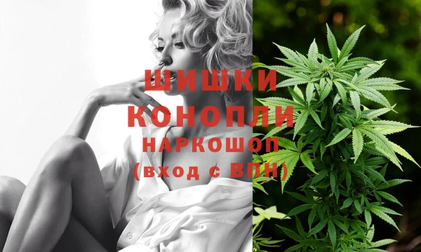 ПСИЛОЦИБИНОВЫЕ ГРИБЫ Белокуриха