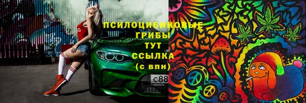 ПСИЛОЦИБИНОВЫЕ ГРИБЫ Белокуриха