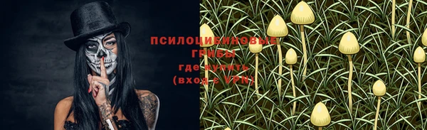 ешки Беломорск