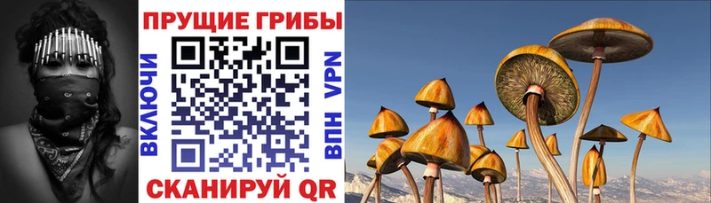 Псилоцибиновые грибы прущие грибы  купить  цена  Мезень 